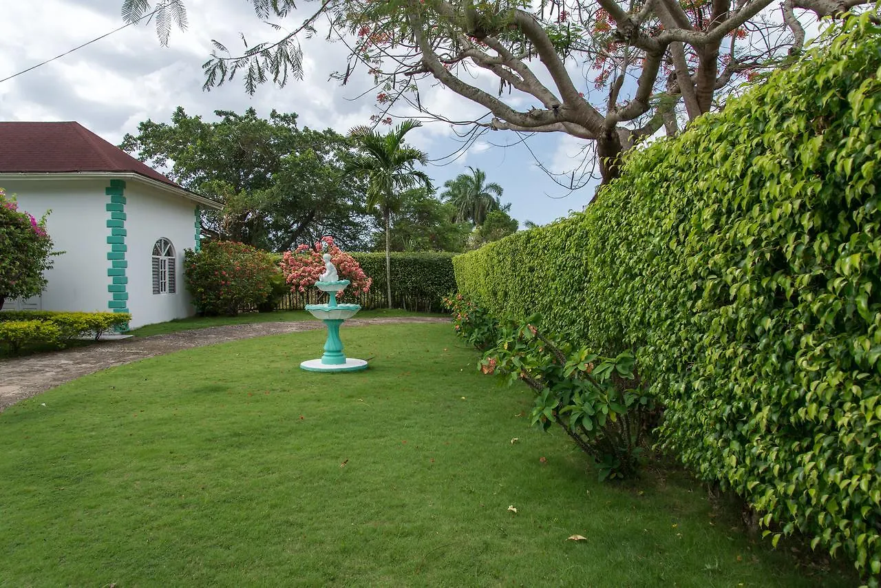 Villa Diamond Guest House Montego Bay 0*,
