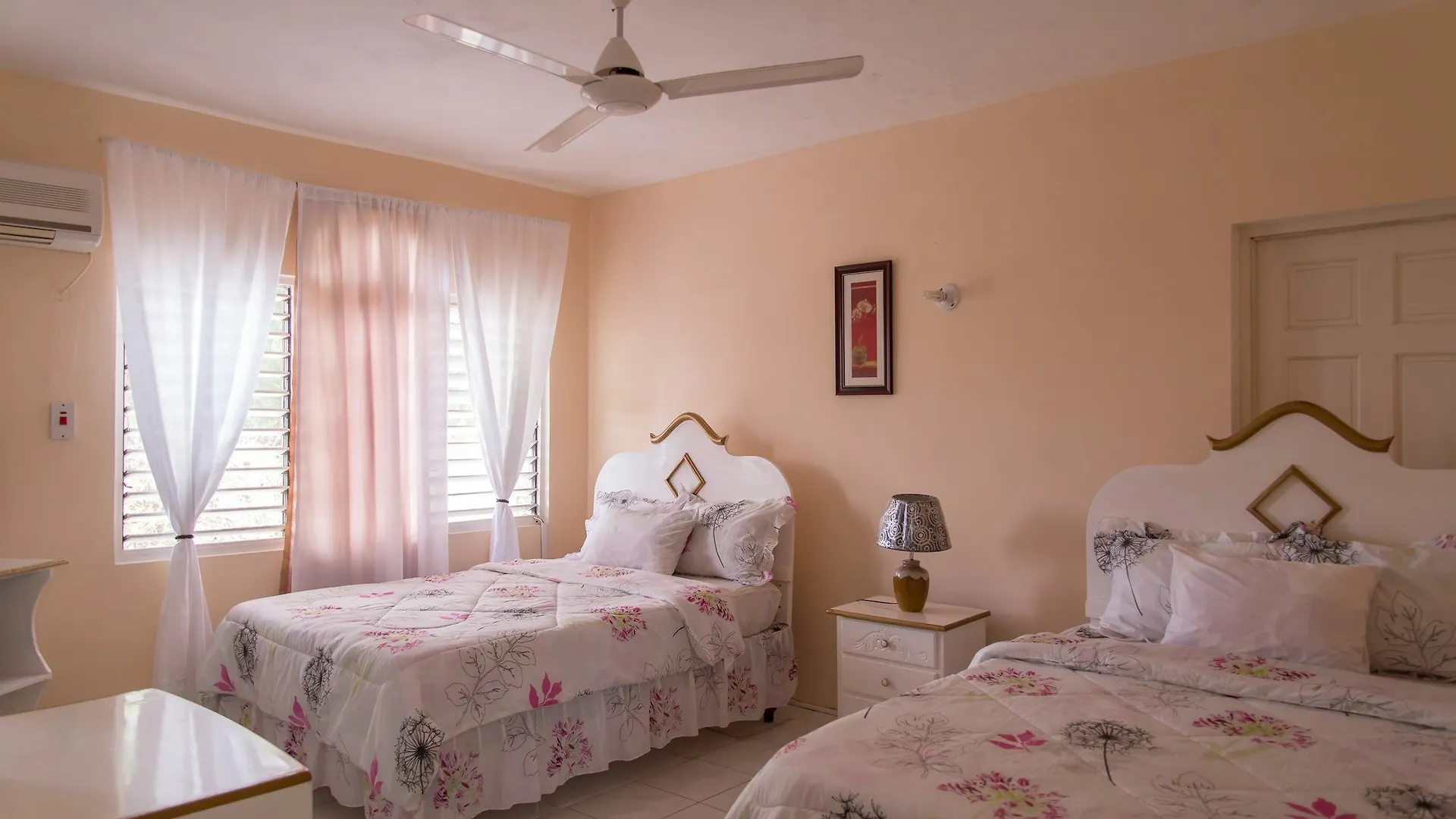 Villa Diamond Guest House Montego Bay 0*,
